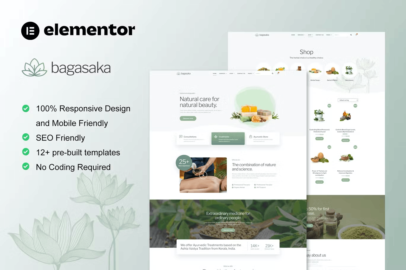 Bagasaka – Ayurveda Treatment & Woocommerce Storetemplate Kit