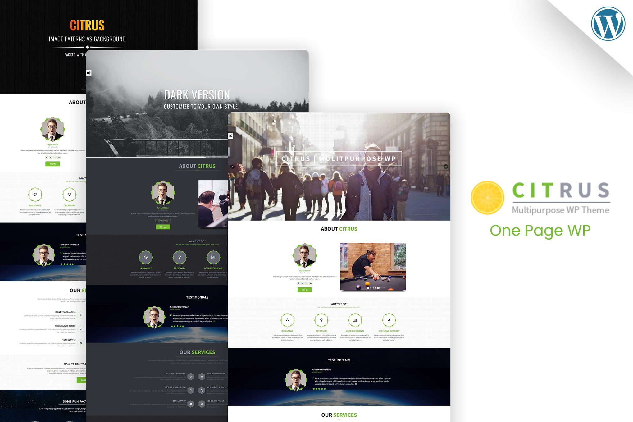 Citrus – One Page Wordpress Theme Citrus – One Page Wordpress Theme